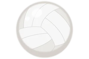 Volleyball icon